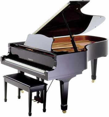 Royal Yamaha Acoustic Piano C7 PE